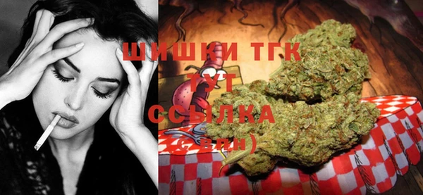 ПСИЛОЦИБИНОВЫЕ ГРИБЫ Баксан