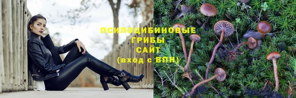 ПСИЛОЦИБИНОВЫЕ ГРИБЫ Баксан