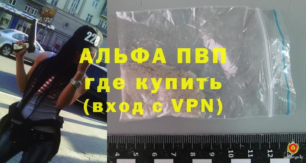 гидра Арсеньев